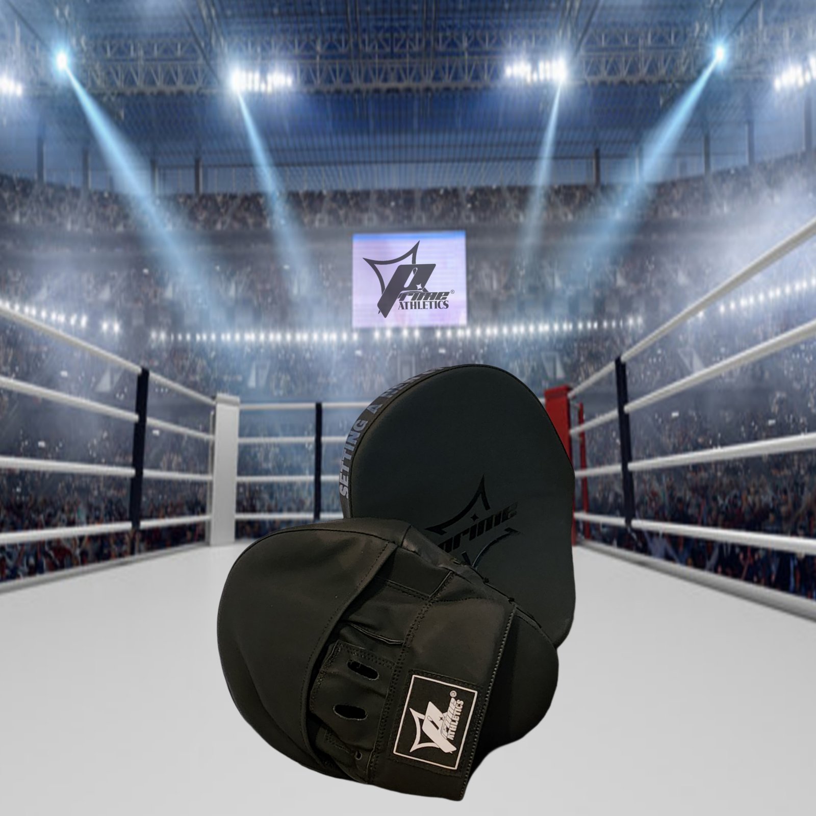 "Shadow" Focus Mitts